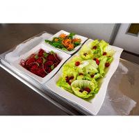 Saladeira Moove Retangular 5l Vermelha Em Polipropileno Linha Tropical Vem