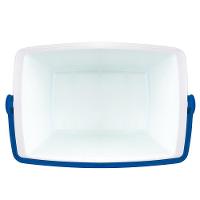 Caixa Térmica 18 Litros 24 Latas Cores Mor Azul