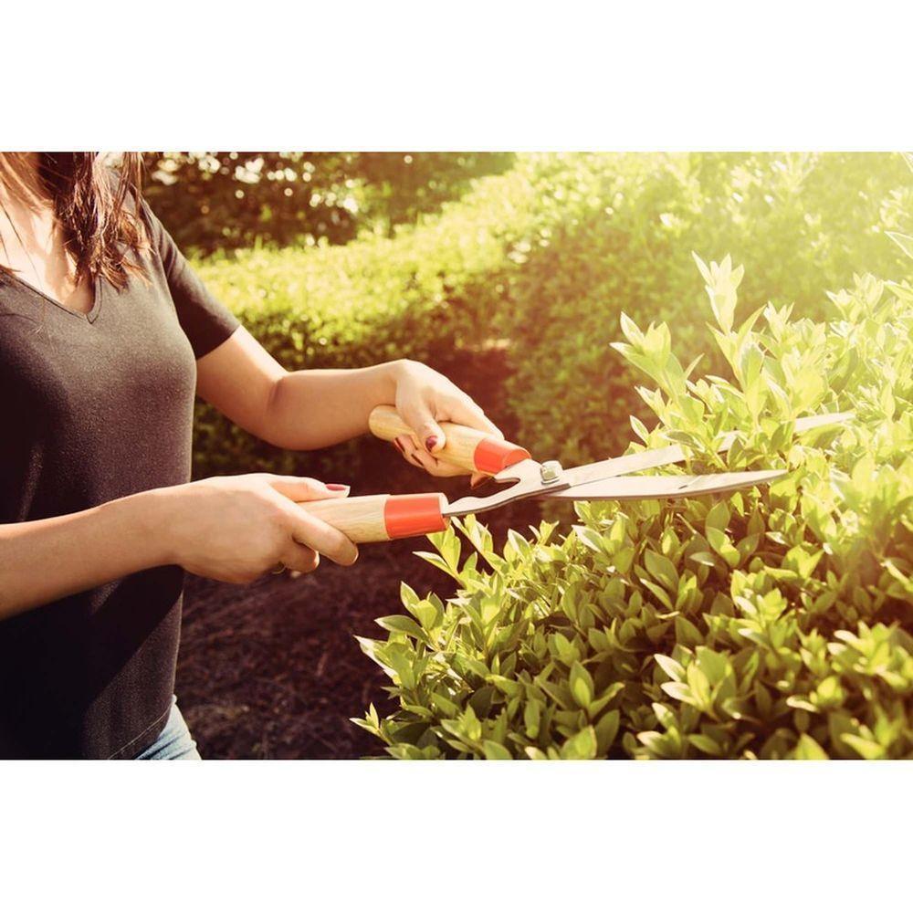 Tesoura Para Cerca-viva/grama Tramontina Com Lâminas Metálicas E Cabos De Madeira Tramontina - 3