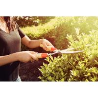 Tesoura Para Cerca-viva/grama Tramontina Com Lâminas Metálicas E Cabos De Madeira Tramontina - 3