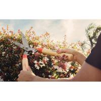 Tesoura Para Cerca-viva/grama Tramontina Com Lâminas Metálicas E Cabos De Madeira Tramontina