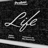 Conjunto Box Solteiro Mola Probel Life (88x188x50cm) - 5