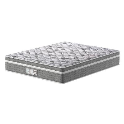 Colchão Queen Molas Ensacadas Evolution D28 Probel