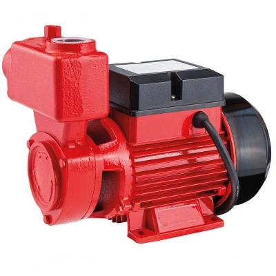 Bomba Periférica Auto Aspirante 1hp 127-220v Worker