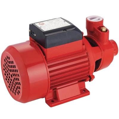 Bomba Periférica 1-2hp 127v-220v 1x1'' Worker