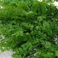 2 Ramos Artificial Salsinha Flor Plantas Com 13 Galhos 46cm - 3