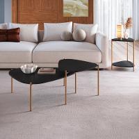 Kit Mesa De Centro E Lateral Organica Pes Metal Dourado Nero Artesano Nero Dourado - 1