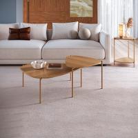 Kit Mesa De Centro E Lateral Organica Pes Metal Dourado Hanover Artesano Hanover Dourado - 1