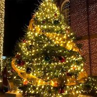 Pisca Luzes Leds Fio Solar Amarelo 500 Lâmpadas Natal De 50m