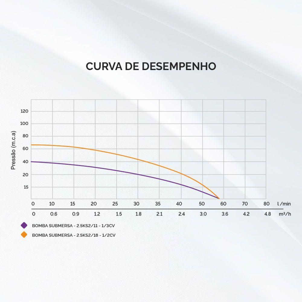 Bomba Submersa 2.5 Polegadas 1/3cv 40m.c.a 220v 2.5ks2/11 - 4