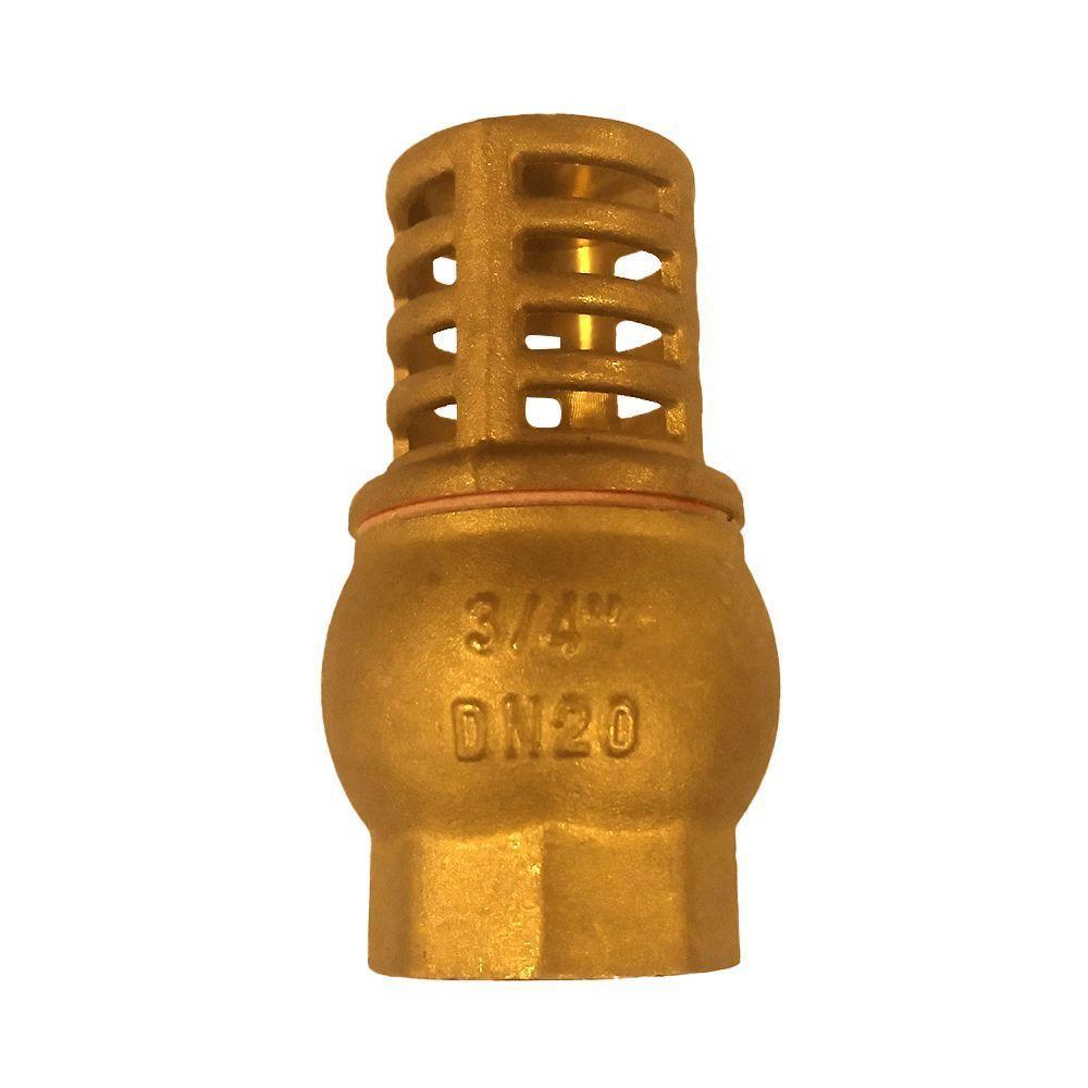 Válvula De Retenção Vertical De Poço 3/4 - 1