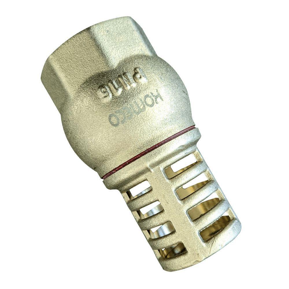 Válvula De Retenção Vertical De Poço 3/4 - 3