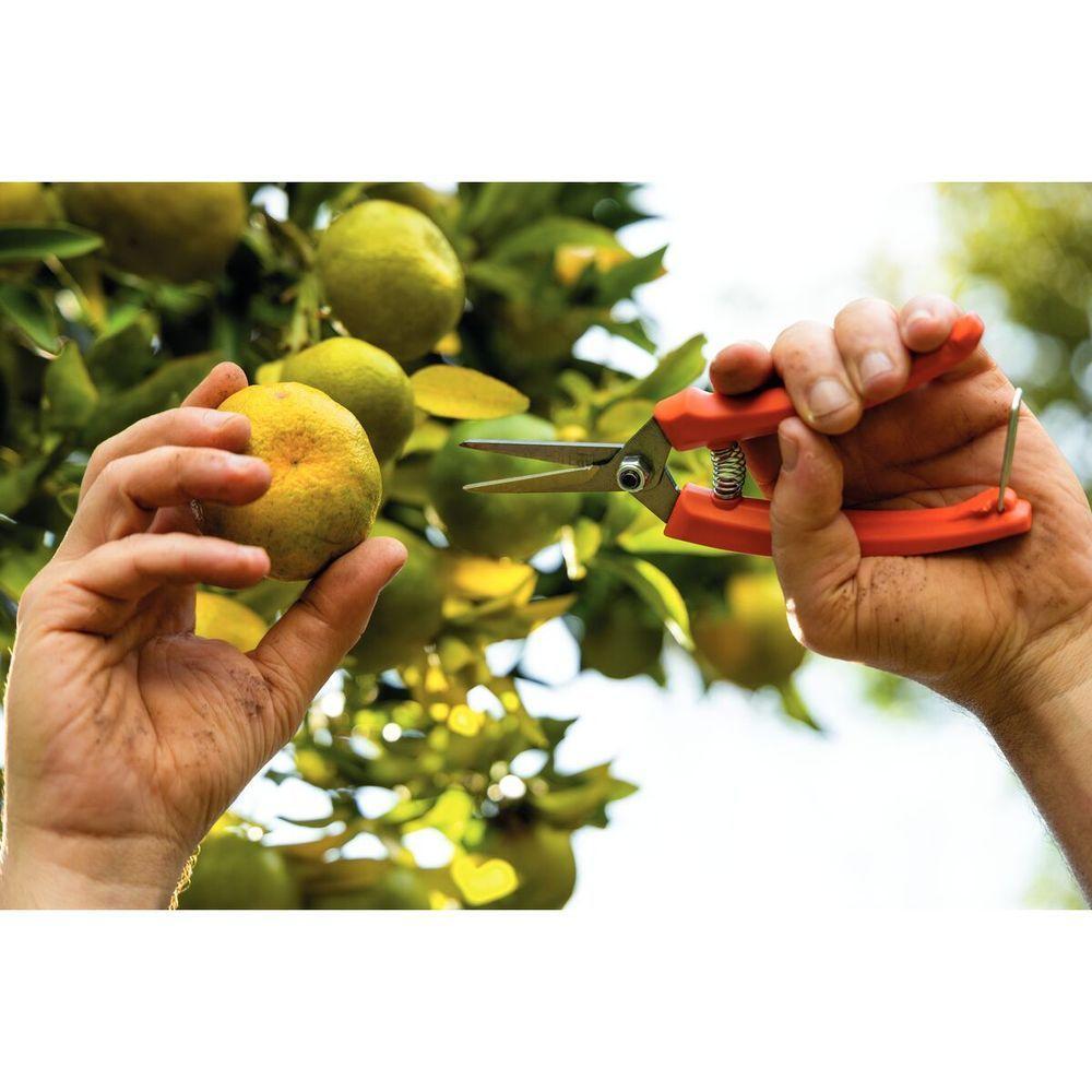 Tesoura Para Frutas Tramontina Com Cabo Plástico - 2