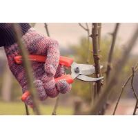 Conjunto De Tesoura De Poda E Tesoura Para Cerca-viva/grama Tramontina 2 Peças Tramontina - 3