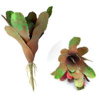 Kit 4 Pçs Bromélia Elegante Planta Artificial 8 Folhas 21cm - 1