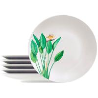 Kit Jogo De Prato Raso Jantar 4 Pessoas 4pçs Graziela 25cm - 2