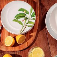 Jogo Pratos Sobremesa Lanche 8 Pessoas 8pçs Graziela 19cm - 5