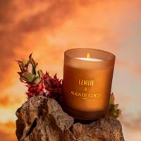 Vela Perfumada Terra Do Sol Lenvie + água De Coco 210g
