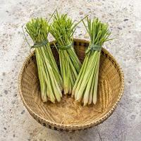 Home Spray De Capim Limão - 100ml - 2