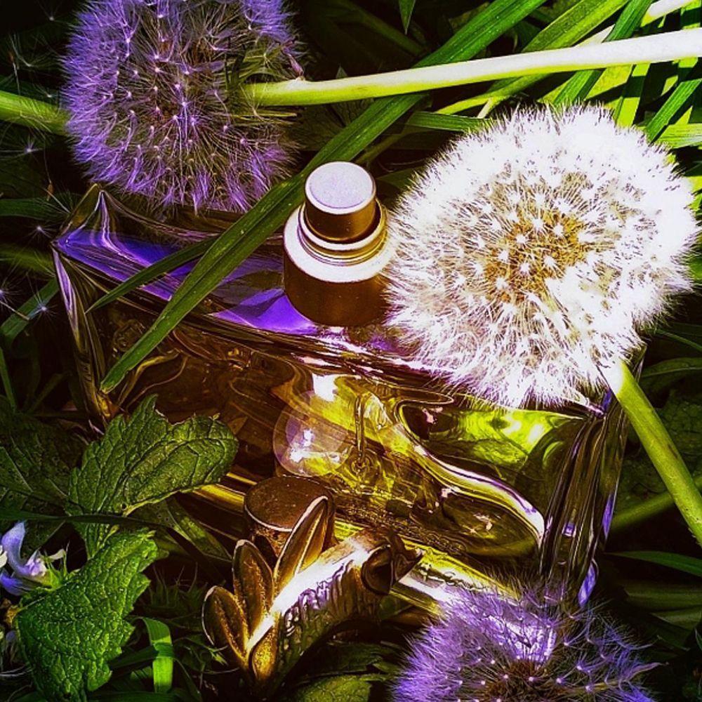 Perfume Jungle By Kenzo Edp Feminino 100ml - 4