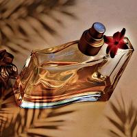 Perfume Jungle By Kenzo Edp Feminino 100ml - 6