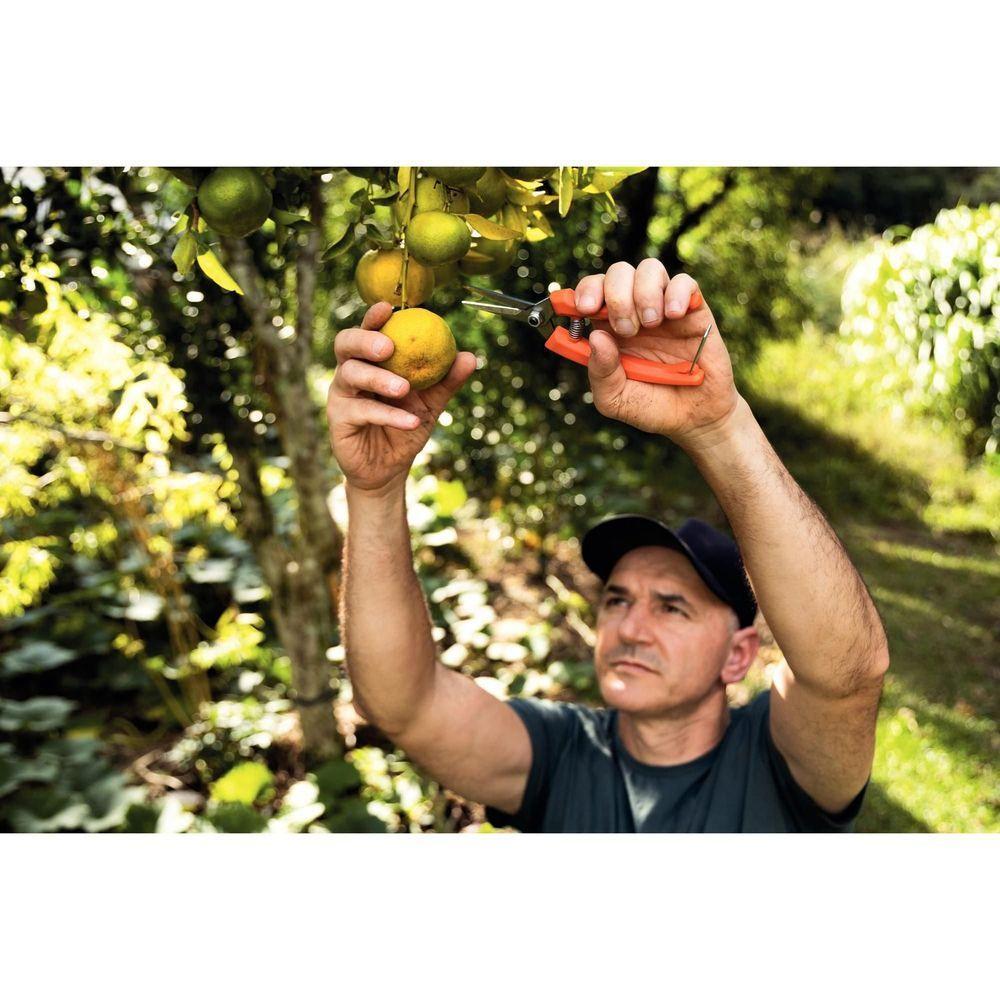 Tesoura Para Frutas Tramontina Com Cabo Plástico Tramontina - 3