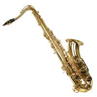 Saxofone Tenor Ts 200 Laqueado Dourado Com Case New York - 8