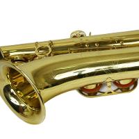 Saxofone Tenor Ts 200 Laqueado Dourado Com Case New York - 9