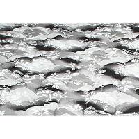 Colchão Solteiro Espuma D33 Supreme Black (78x188x14) - Luckspuma - 4