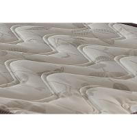 Colchão Solteiro Espuma D23 Pasquale Clean (88x188x16) - Paropas - 2