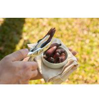 Abridor Descascador De Pinhão Modelo Tesoura Utily - 3