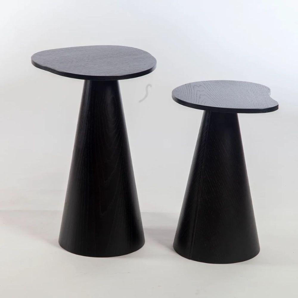 Conjunto De Duas Mesas Laterais Orgânica ébano - 4