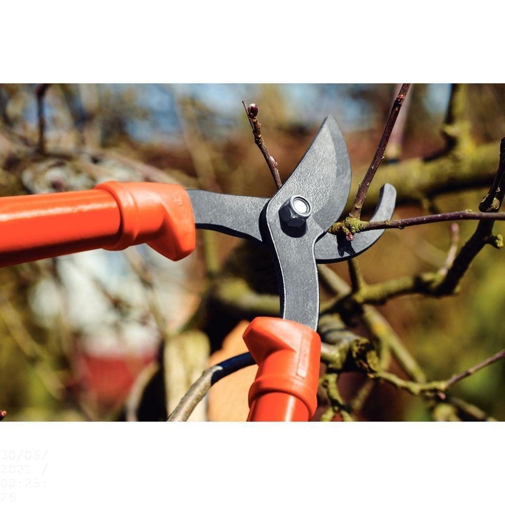 Tesourão De Poda Tipo Bypass Tramontina Em Aço Com Cabo De Madeira 60 Cm Tramontina - 5