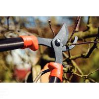 Tesourão De Poda Tipo Bypass Tramontina Em Aço Com Cabo Metálico 60 Cm Tramontina - 2