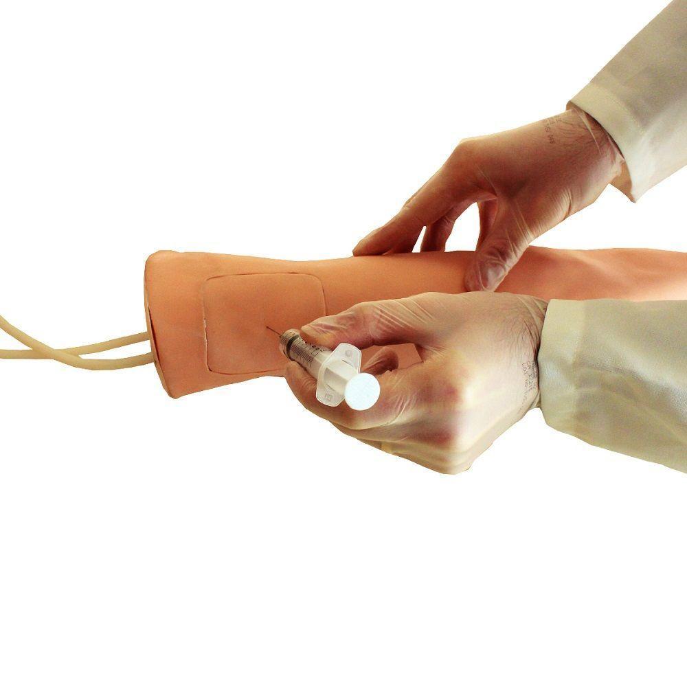 Braço para Treino de Injeção - 7