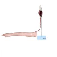 Braço para Treino de Injeção - 2