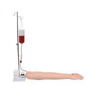 Braço Treino de Injeção I.V e I.M Simulador Médico - 1