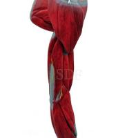 Braço com Músculos Vasos e Nervos em 6 Partes Sdorf - 2