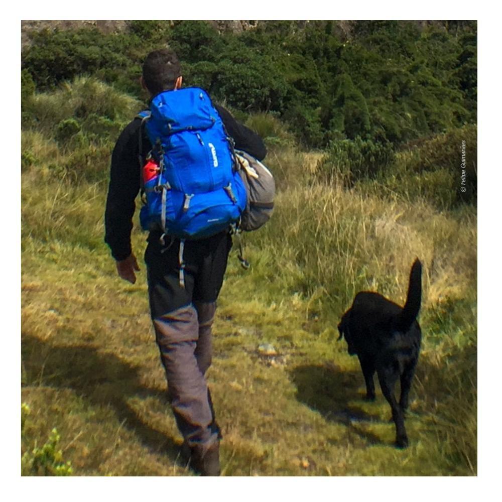 Mochila Cargueira Mountaineer 40+5l Curtlo Azul - 2