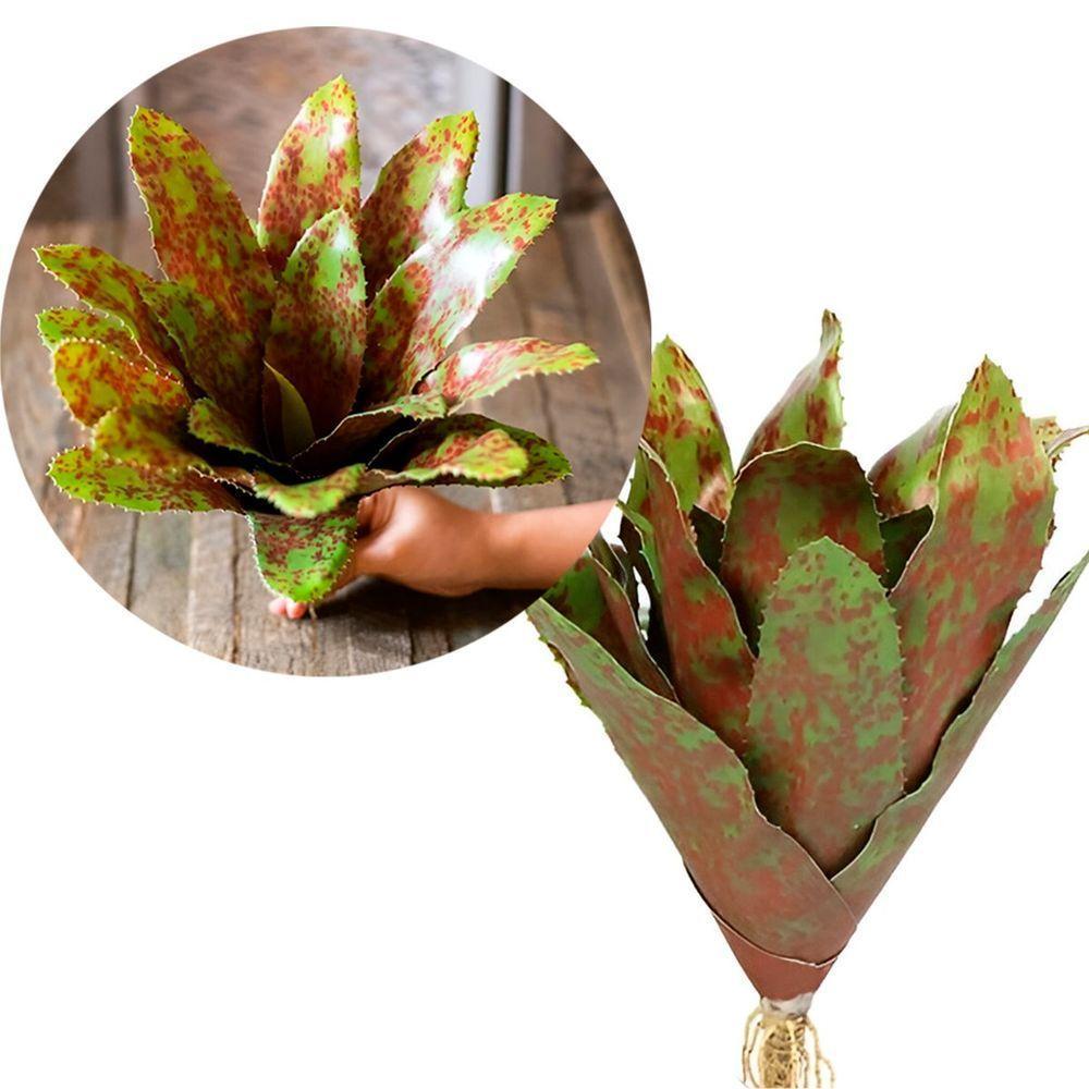 Kit 4 Pçs Bromélia Plantas Artificiais Verde 20 Folhas 34cm - 1