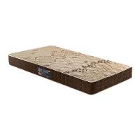 Colchão Solteiro Espuma D28 Confort (78x188x14) - D Angelis Anjos - 1