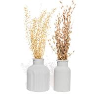 Vaso Decorativo Garrafa Conjunto 2 Peças Artesanal Com Flor Seca Cinza - 1