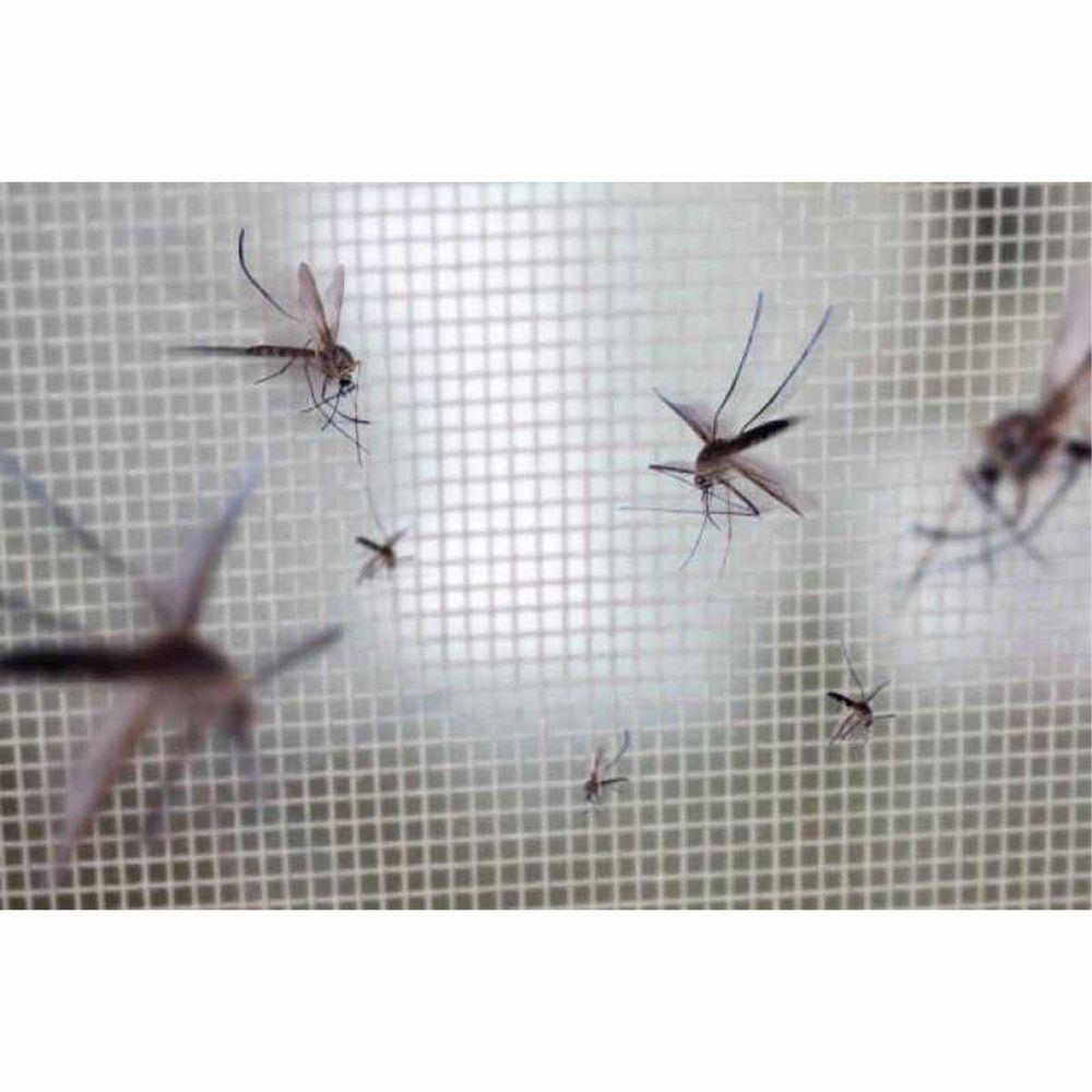 Tela Mosquiteiro Janela Porta Inseto Pernilongo Rolo 25 Metros Multiuso Casa Jardim Varanda Mosquito Mosca Resistente Segurança Proteçao - 5