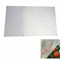 Tela Mosquiteiro Pernilongo Inseto 2 Metros Janela Basculante Proteçao Segurança Resistente - 2