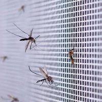 Tela Mosquiteiro 3 Metros Mosquito Inseto Pernilongo Porta Janela Basculante Segurança Proteçao Multiuso Resistente - 3