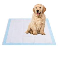 Tapete Higienico Pet Cao Cachorro 60x90 20 Unidades Antivazamento Treinamento Adestramento Animal De Estimaçao Absorvente - 3