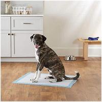 Tapete Higienico Pet Cao Cachorro 60x90 20 Unidades Antivazamento Treinamento Adestramento Animal De Estimaçao Absorvente - 5
