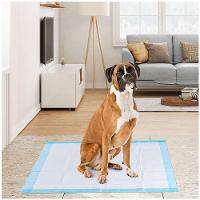 Tapete Higienico Pet Cao Cachorro 60x90 20 Unidades Antivazamento Treinamento Adestramento Animal De Estimaçao Absorvente - 6