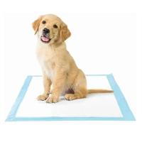 Tapete Higienico Pet Cao Cachorro 60x90 20 Unidades Antivazamento Treinamento Adestramento Animal De Estimaçao Absorvente - 8