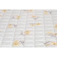 Colchão Solteiro Espuma D28 Sleep Max (88x188x15) - Castor - 2